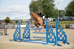 DSC08466_result