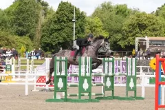 HAY03955_result