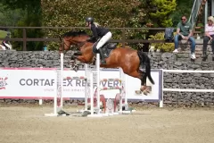 DSC08490_result